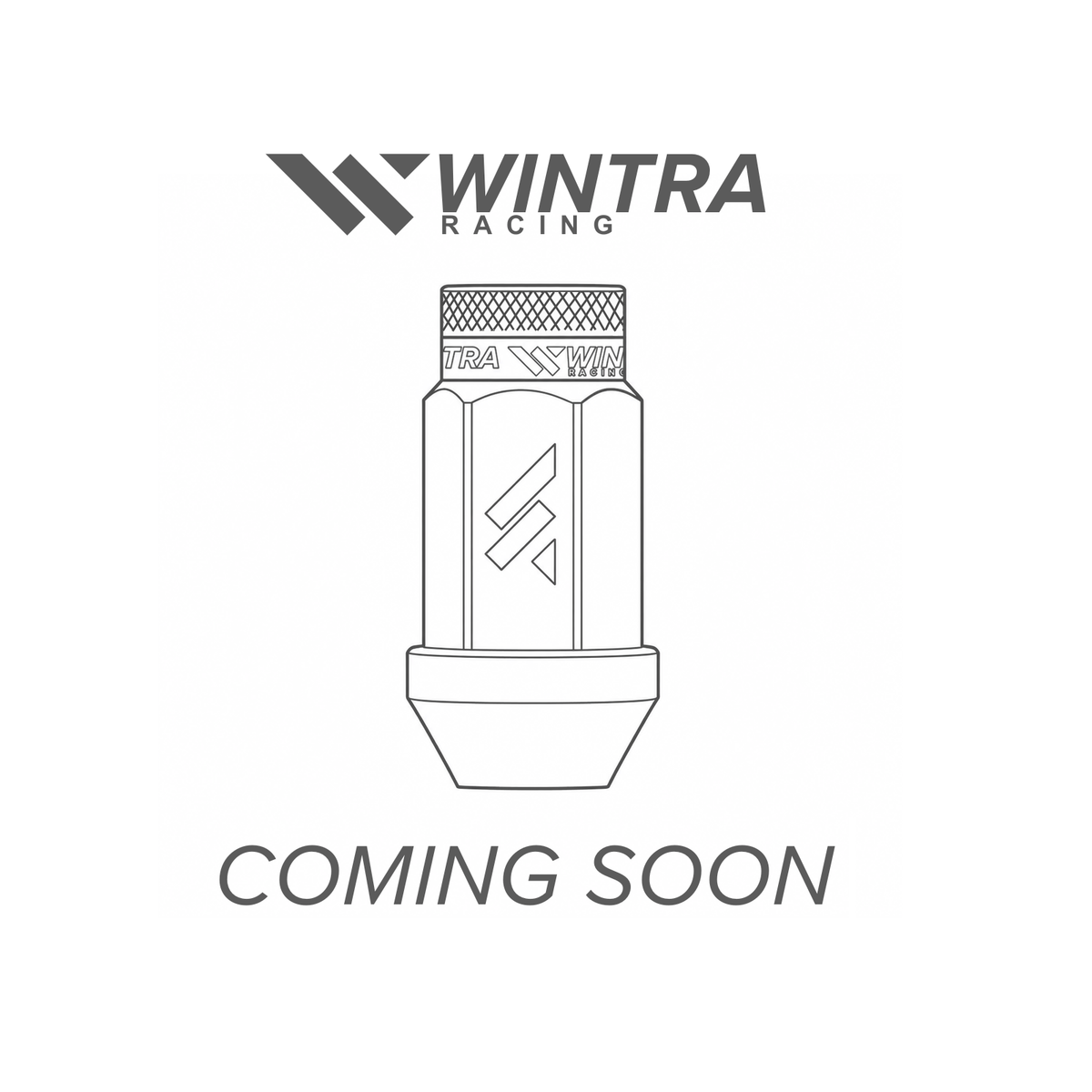 Wintra Wheel Nuts